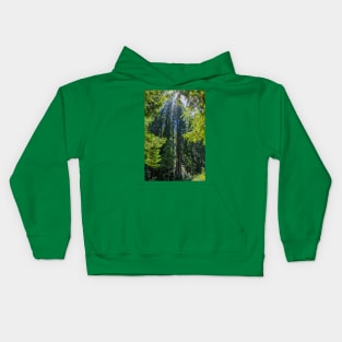 Various Shades of Green in Muir Woods National Monument Kids Hoodie